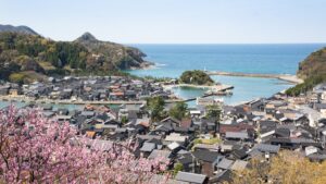 关西赏樱秘境竹野海岸 粉嫩春樱交织蔚蓝日本海唯美景色
