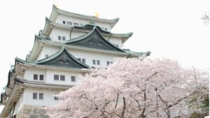 2024名古屋人气赏樱热点大公开必去5精选