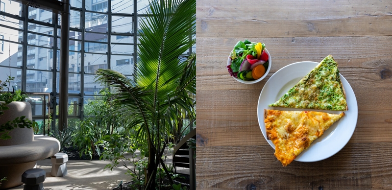 东京涩谷植物园中心咖啡厅介绍！让植物来治愈下班后身心俱疲的你