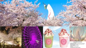 大阪世博会纪念公园「SAKURA EXPO 2025」3月20日登场！漫步樱花大道赏夜樱、搭上日本最高摩天轮被樱花包围
