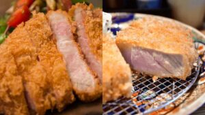东京美食巡礼：5家米其林级炸猪排专门店