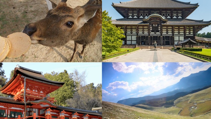 奈良必去景点10选！神社佛寺×绝景山林×可爱小鹿，感受古都最疗愈的风景