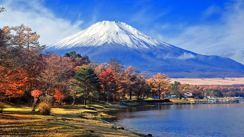 富士山x 红叶神组合！关东美照拍摄景点10选