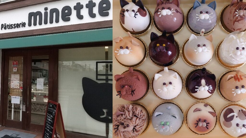 猫控与甜点控的梦幻乐园，兵库西宫甜点店「Patisserie minette」