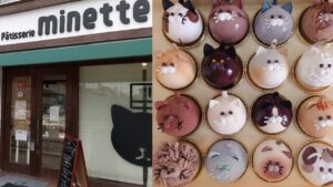猫控与甜点控的梦幻乐园，兵库西宫甜点店「Patisserie minette」